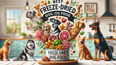 Best Freeze Dried Dog Food