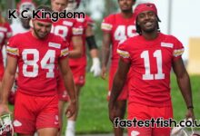 K C Kingdom​