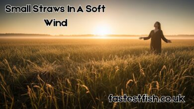 Small Straws In A Soft Wind