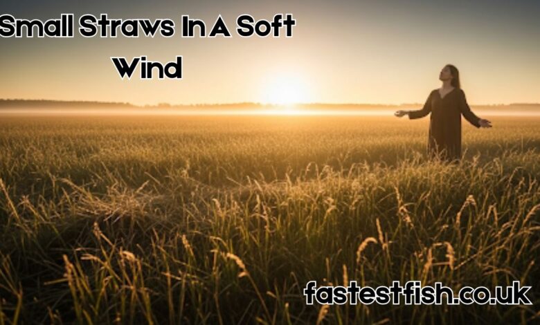 Small Straws In A Soft Wind