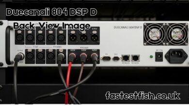 Duecanali 804 DSP D Back View Image