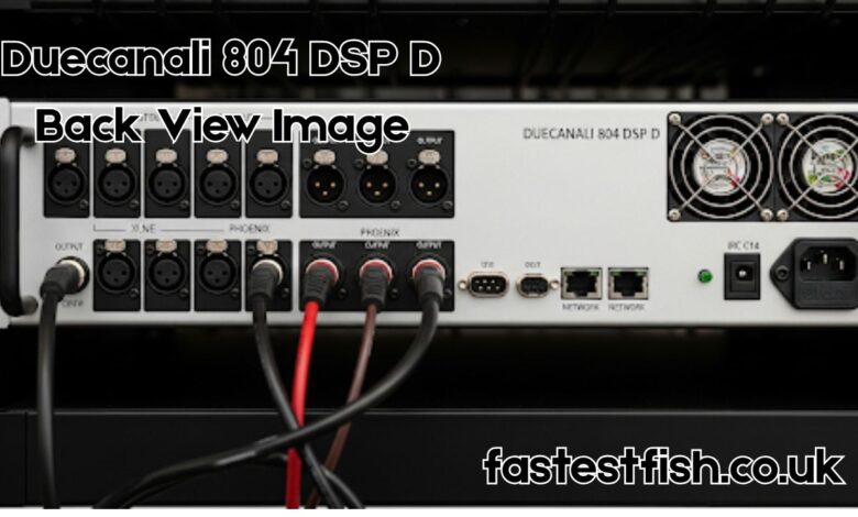Duecanali 804 DSP D Back View Image