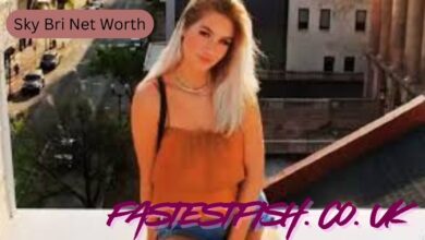sky bri net worth