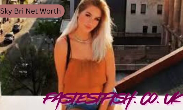 sky bri net worth