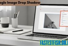 steegle image drop shadow