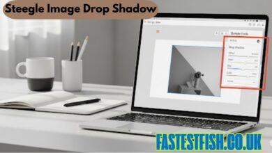 steegle image drop shadow