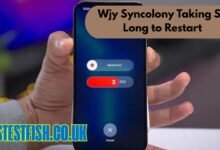 Wjy Syncolony Taking So Long to Restart