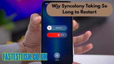 Wjy Syncolony Taking So Long to Restart