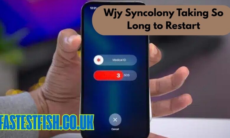 Wjy Syncolony Taking So Long to Restart