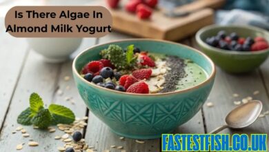 is there algae in almond milk yogurt