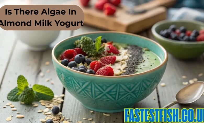 is there algae in almond milk yogurt
