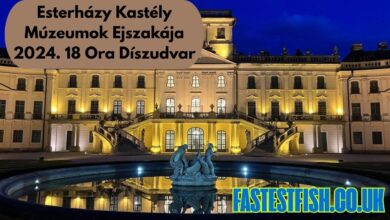 Esterházy Kastély Múzeumok Ejszakája 2024. 18 Ora Díszudvar