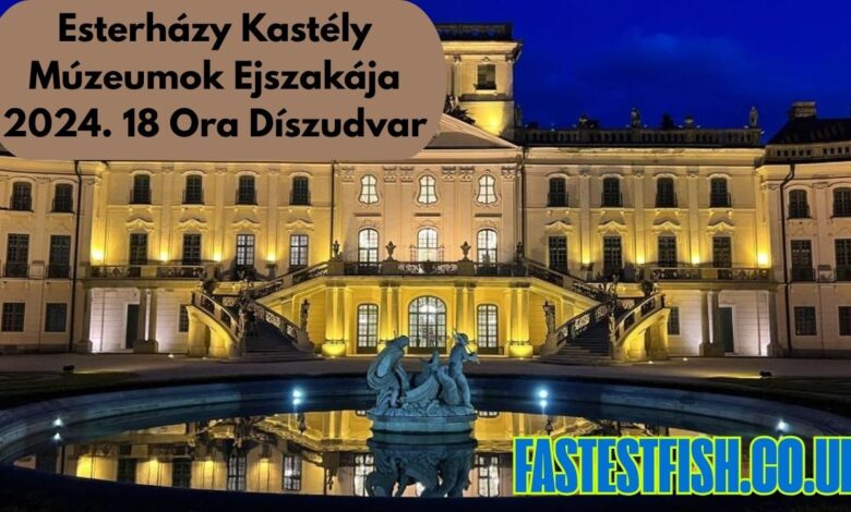 Esterházy Kastély Múzeumok Ejszakája 2024. 18 Ora Díszudvar